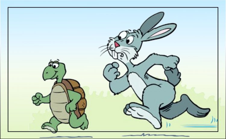 The Hare and the Tortoise